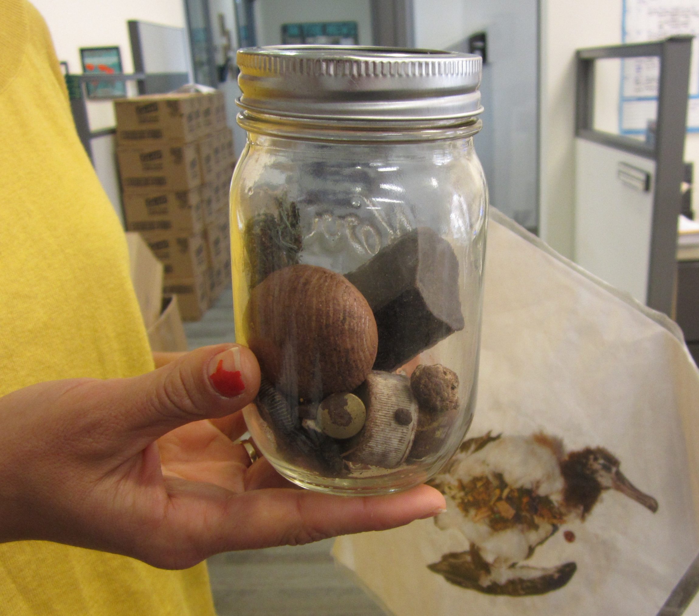 One of the many visual aids that ILACSD educators take to presentations, this contains albatross stomach contents