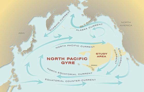 The North Pacific Subtropical Gyre