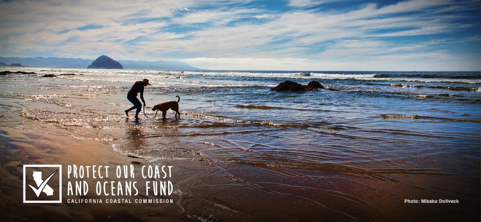 Protect our coast and oceans for all of us, including our furry friends who love to enjoy some time at the beach.