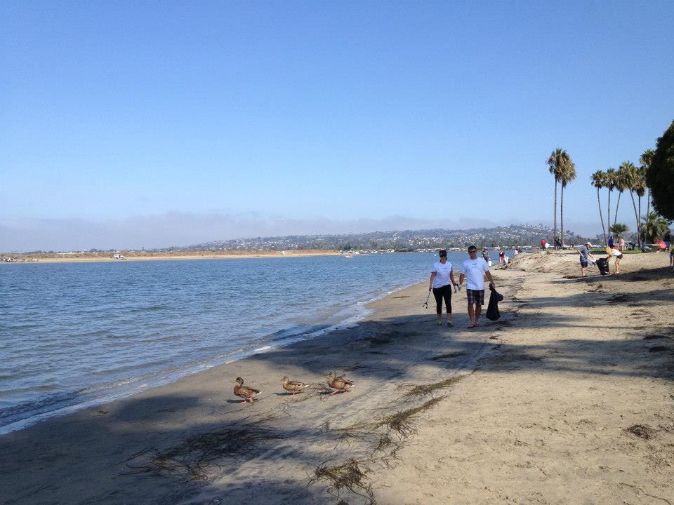 Cleanups protect our beautiful beaches, oceans, and we bet these ducks appreciate them, too!