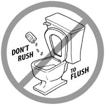 Dispose of drugs properly! Flushing them pollutes the water supply.