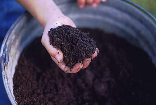 Turn your winter leftovers into nutrient-rich soil by Spring!