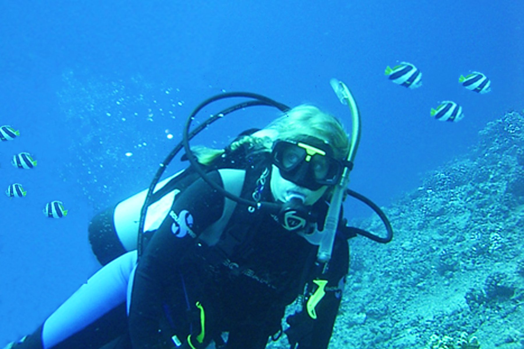 Pauline's other passion besides working at ILACSD is scuba diving in tropical waters and traveling to exotic destinations.