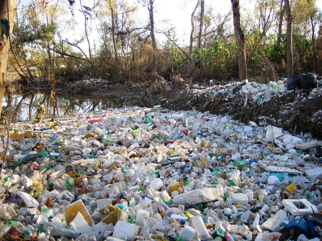 Trash in TJ River